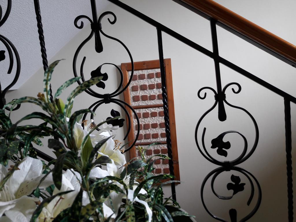 Artemis Hotel Karpenisi Exterior photo
